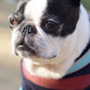 Meet your Posher, Mariah